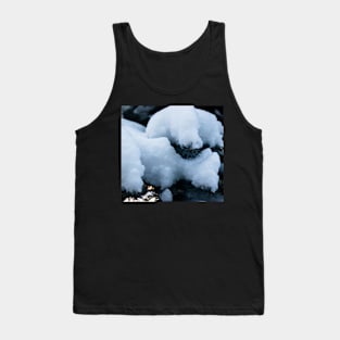 Fresh snow on a pine tree branch Tank Top